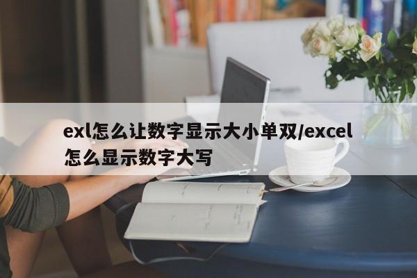 exl怎么让数字显示大小单双/excel怎么显示数字大写