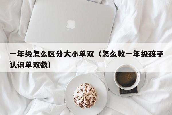 一年级怎么区分大小单双(怎么教一年级孩子认识单双数)